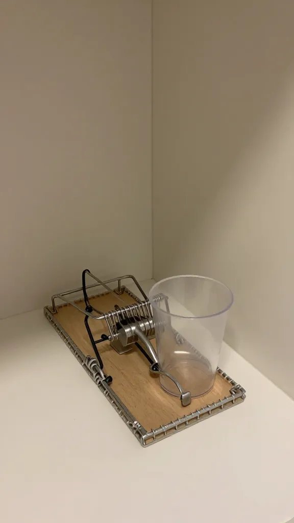 How to Get Rid of Mice: Quick, Humane Fixes 6 An unobtrusive, humane trap setup in a pantry corner: visible snap-free mechanism and a transparent bait cup, with no bait visible to the camera.